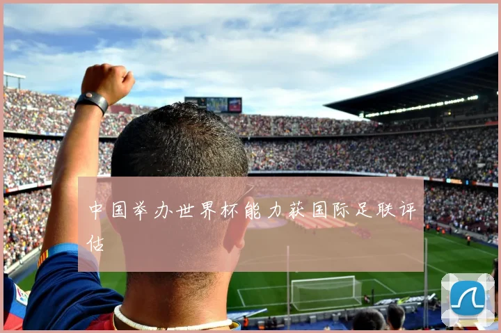 中国举办世界杯能力获国际足联评估
