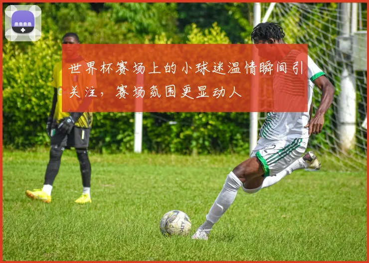 世界杯赛场上的小球迷温情瞬间引关注,赛场氛围更显动人