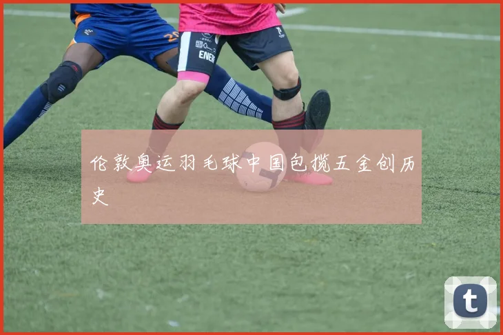 伦敦奥运羽毛球中国包揽五金创历史