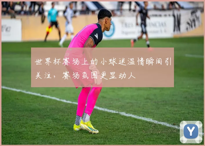 世界杯赛场上的小球迷温情瞬间引关注，赛场氛围更显动人